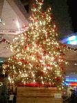 品川駅の近くのクリスマスツリー