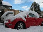 愛車ニュービートルは、初雪。2WDだけど大丈夫かな