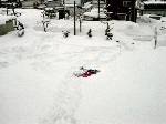 先日の大雪に、20cmほど上乗せされた雪の上で、お昼寝(?)中の次女と三女。