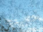 朝、車のフロントガラスは氷の結晶に包まれている。よく見ると、本当に「雪印」型をしている