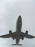 最後の観光メニューは、「今から乗る飛行機のお腹」を見ること。頭上を通って着陸する飛行機の迫力といったら