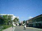 大学のキャンパスは、やっぱり｢晴れ」が似合うね