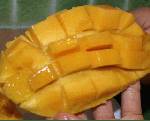 マンゴーの季節。マンゴー大好き次女は、何個食べたことか