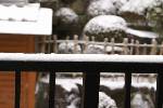 奈良も雪が積もった
