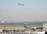羽田空港の展望台って、何年ぶりだろう。ああ、ポケモンジェットが飛んでいく･･･