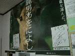 ならまちの情報センターで、「鹿男あおによし」のポスターと共に、玉木のサインを発見！