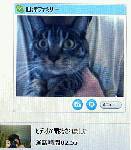 Webカメラで、ネコとご対面。左下には、画面を撮影する由利ママ