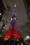 東京タワーの美しいこと