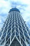 どうしても見たかった「建設中」の東京スカイツリー。現在215m