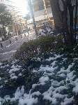 東京で積雪。飛行機の運航に影響がなくてよかった