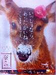 京都駅で見つけた奈良のポスター。いいね!